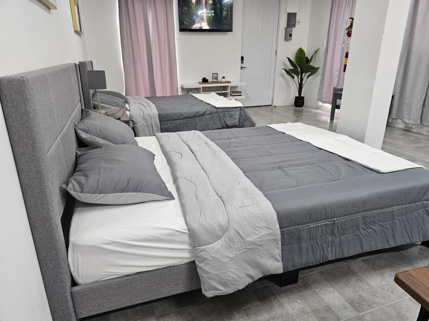 Salmos 23 Acogedor Apartamento Estudio Ceiba Dış mekan fotoğraf