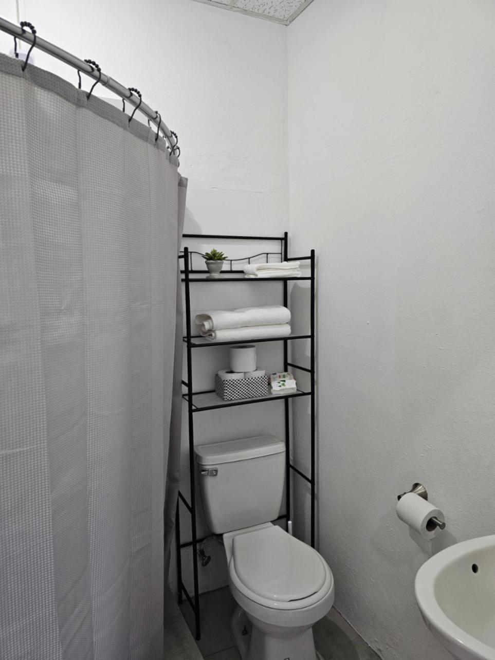 Salmos 23 Acogedor Apartamento Estudio Ceiba Dış mekan fotoğraf